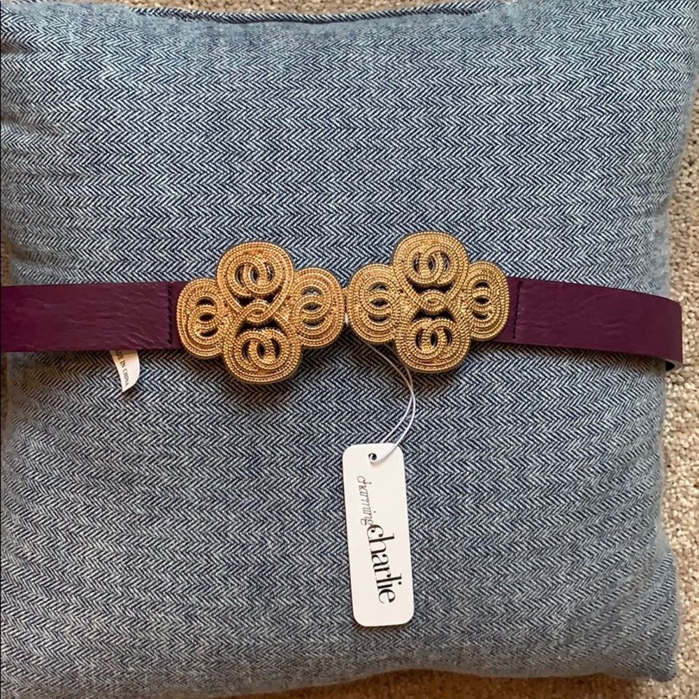 NWT CC Belt